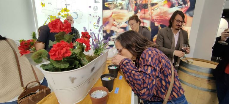 La Junta de Castilla y León concede 32.000 € a la Ruta del Vino Ribera del Duero