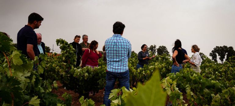 El informe realizado por el Observatorio Turístico de Rutas del Vino de España vuelve a situar a la Ruta del Vino Ribera del Duero en el pódium de las más visitadas del país