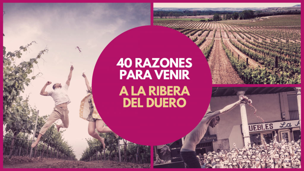 Este año se cumplen 40 años de la creación de la Denominación de Origen Ribera del Duero. Ni más ni menos que 40 años desde que un grupo