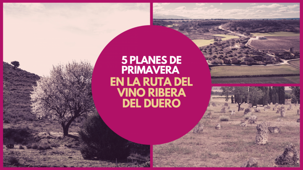 5 planes de primavera