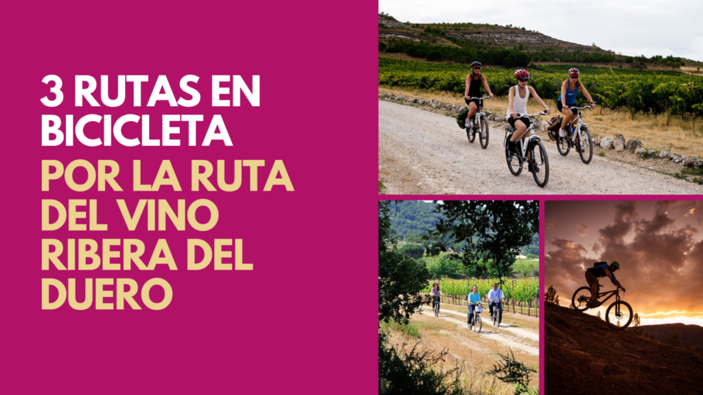 Si sois de los que adoran hacer rutas en bicicleta, la Ruta del Vino Ribera del Duero es el lugar perfecto para perderse unos días y gozar de un buen