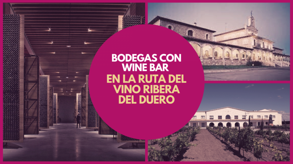 ¿Conoces las bodegas con wine bar de la Ruta del Vino Ribera del Duero? Te contamos más para que puedas visitarlas.