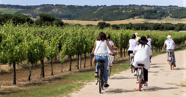 Como Ruta del Vino que somos, el enoturismo es nuestra esencia. Te damos ocho razones por las que nuestra comarca es líder