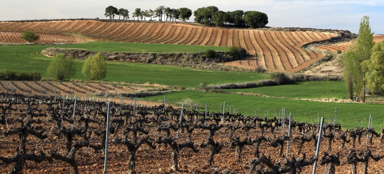 La Ruta del Vino Ribera del Duero se afianza en el podio de las más visitadas en 2018