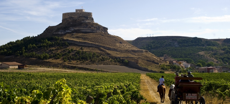 Visitas ruta vino equitacion viñedos