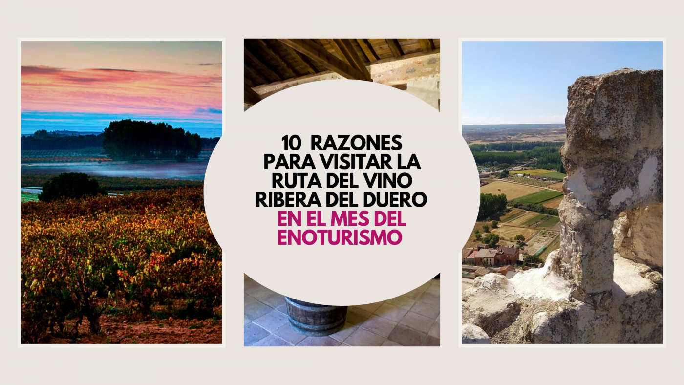 10 razones