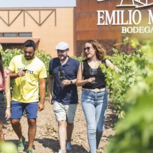 Emilio Moro: Descubre la vendimia