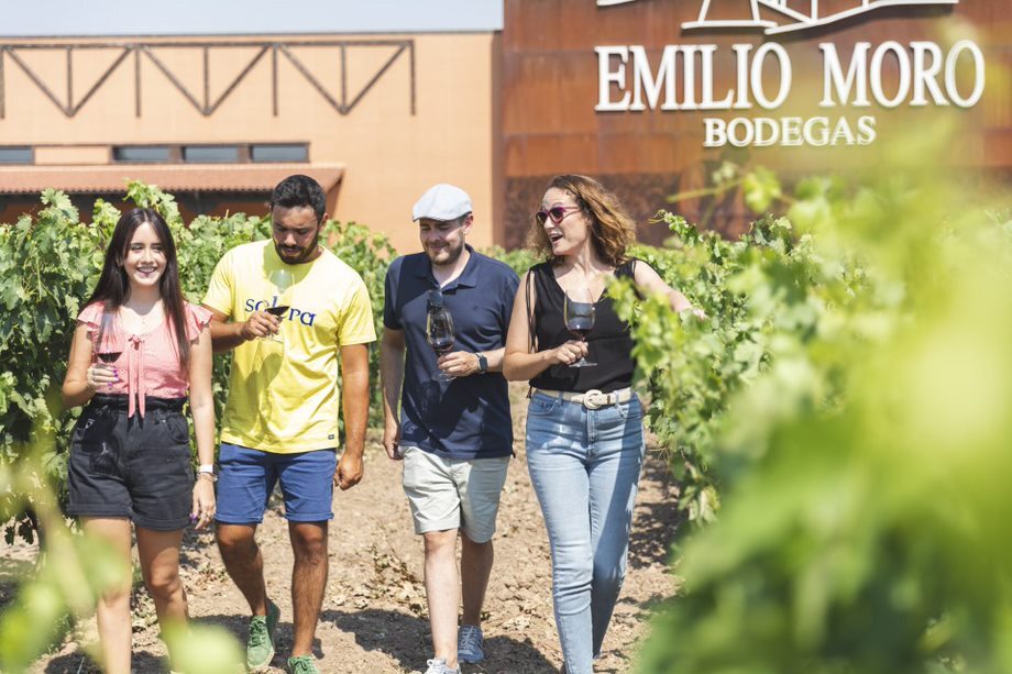 Emilio Moro: Descubre la vendimia