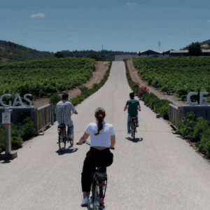 Wine & Bike
