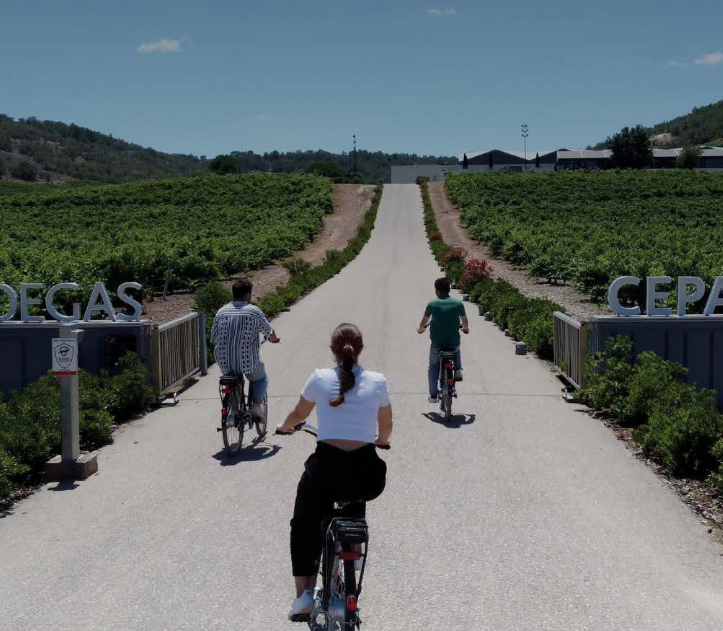 Wine & Bike
