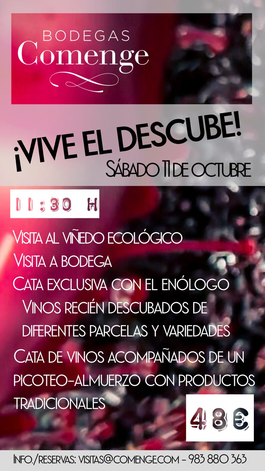 ¡Vive el Descube!