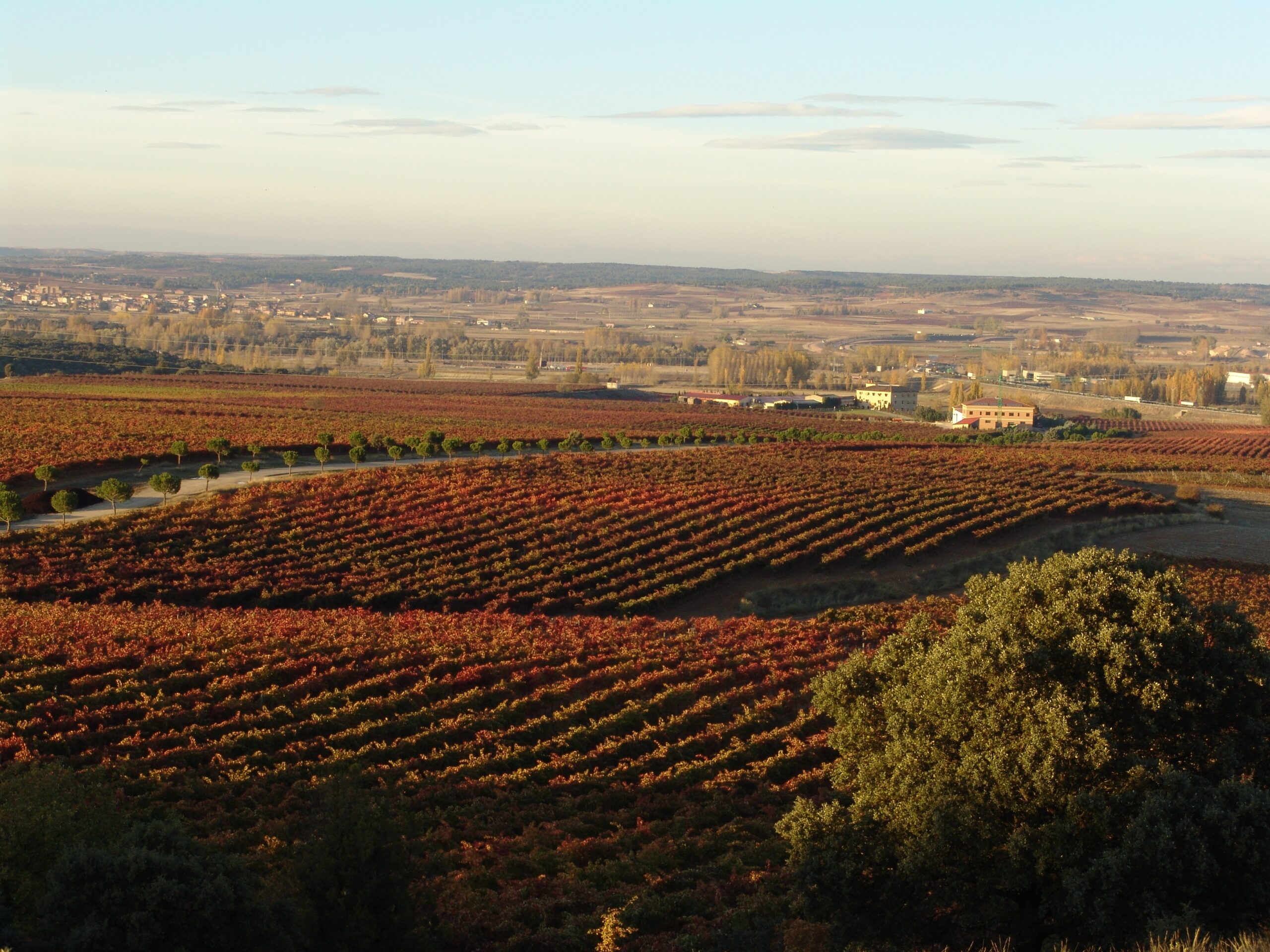 Finca Torremilanos