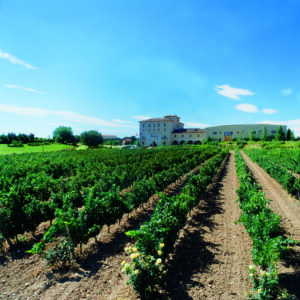 Experiencia Ribera