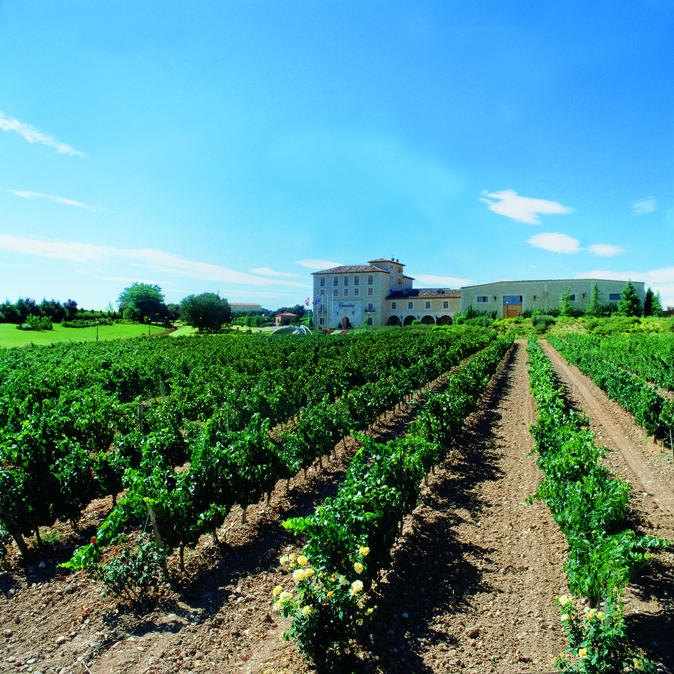Finca Torremilanos